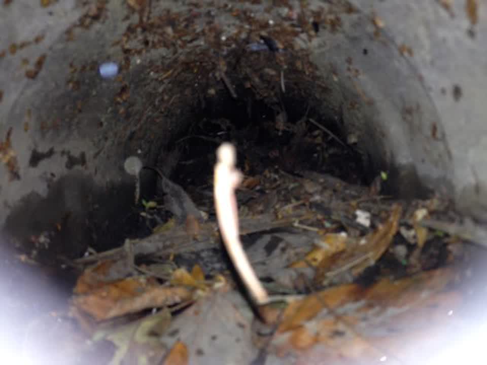 The photograph attached to this wastewater/stormwater report