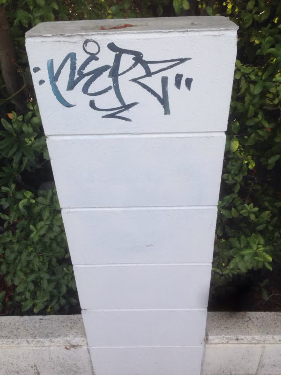 The photograph attached to this graffiti report