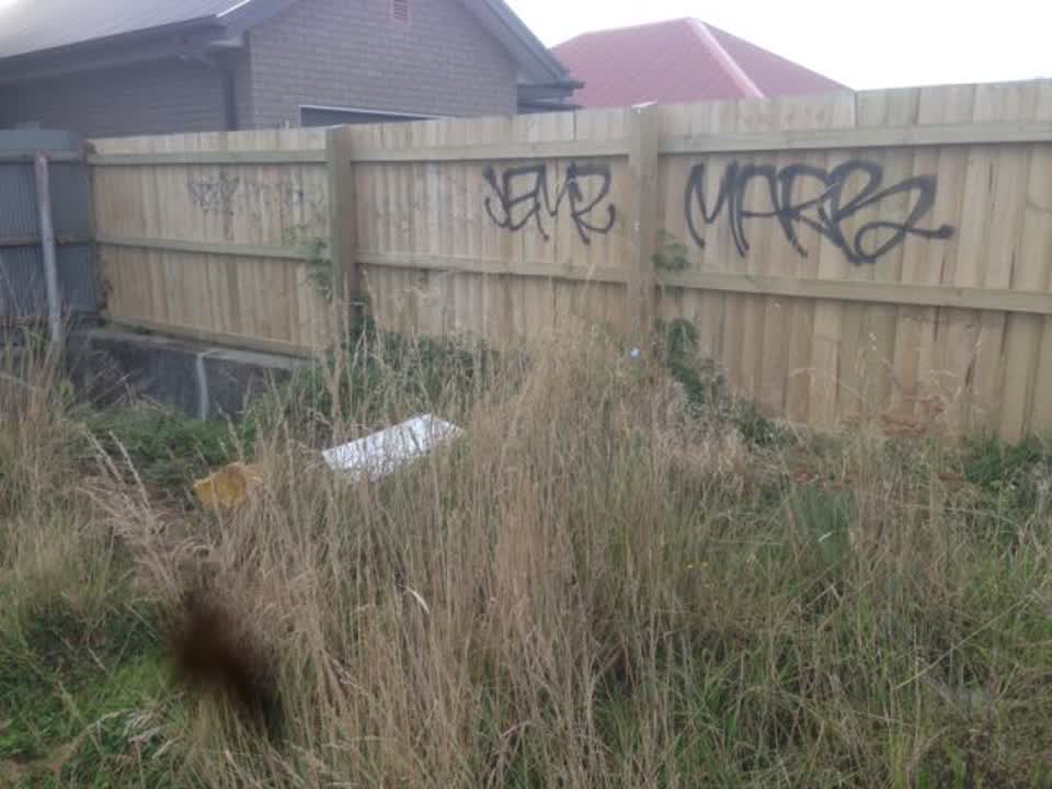The photograph attached to this graffiti report