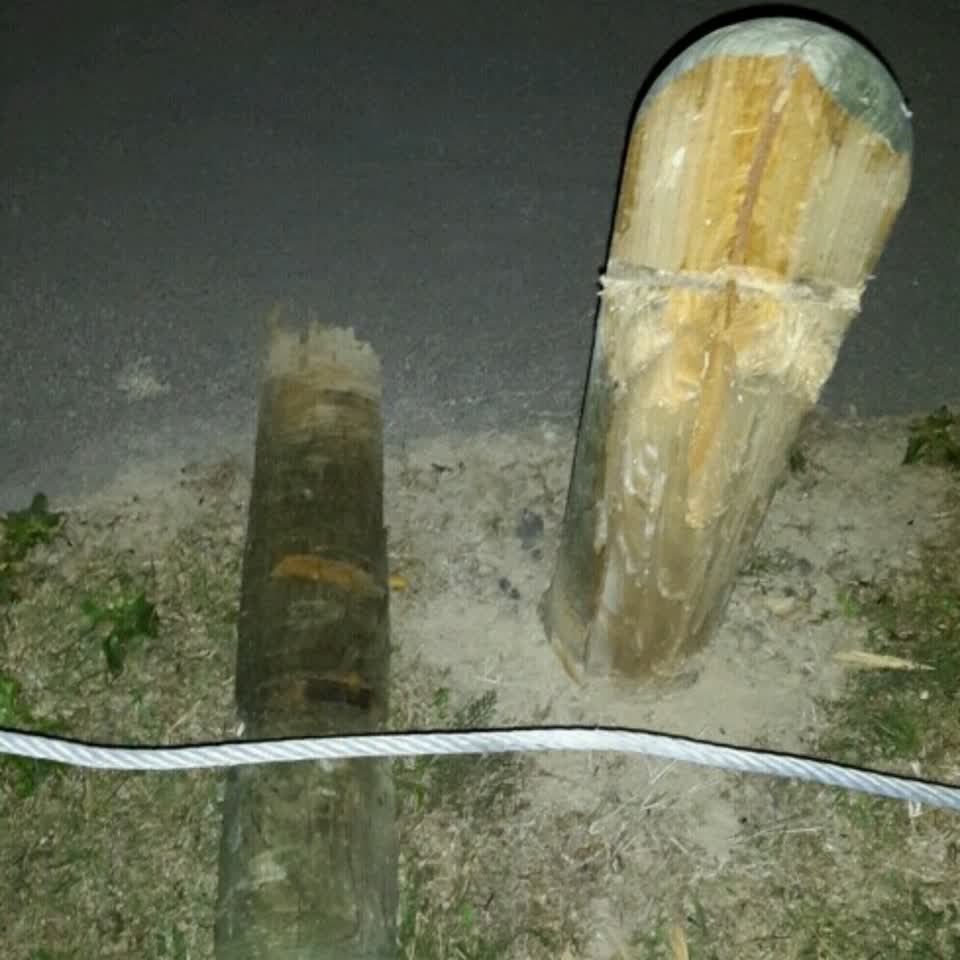 The photograph attached to this parks report