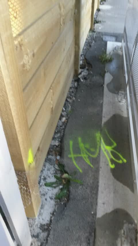 Graffiti, a report photo