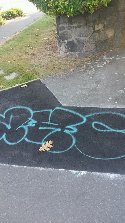 Graffiti, a report photo