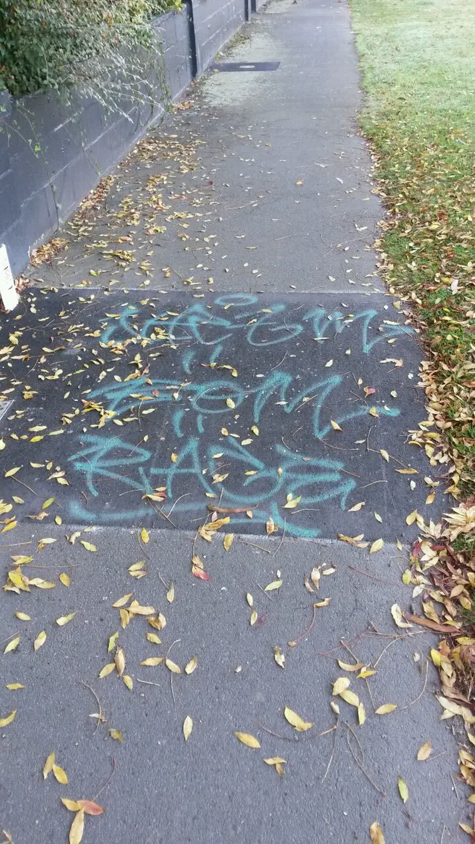 The photograph attached to this graffiti report