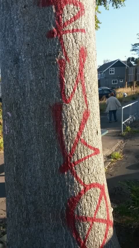 Graffiti, a report photo