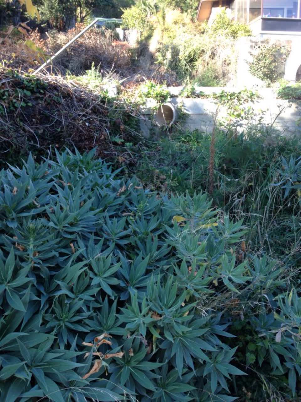 The photograph attached to this wastewater/stormwater report