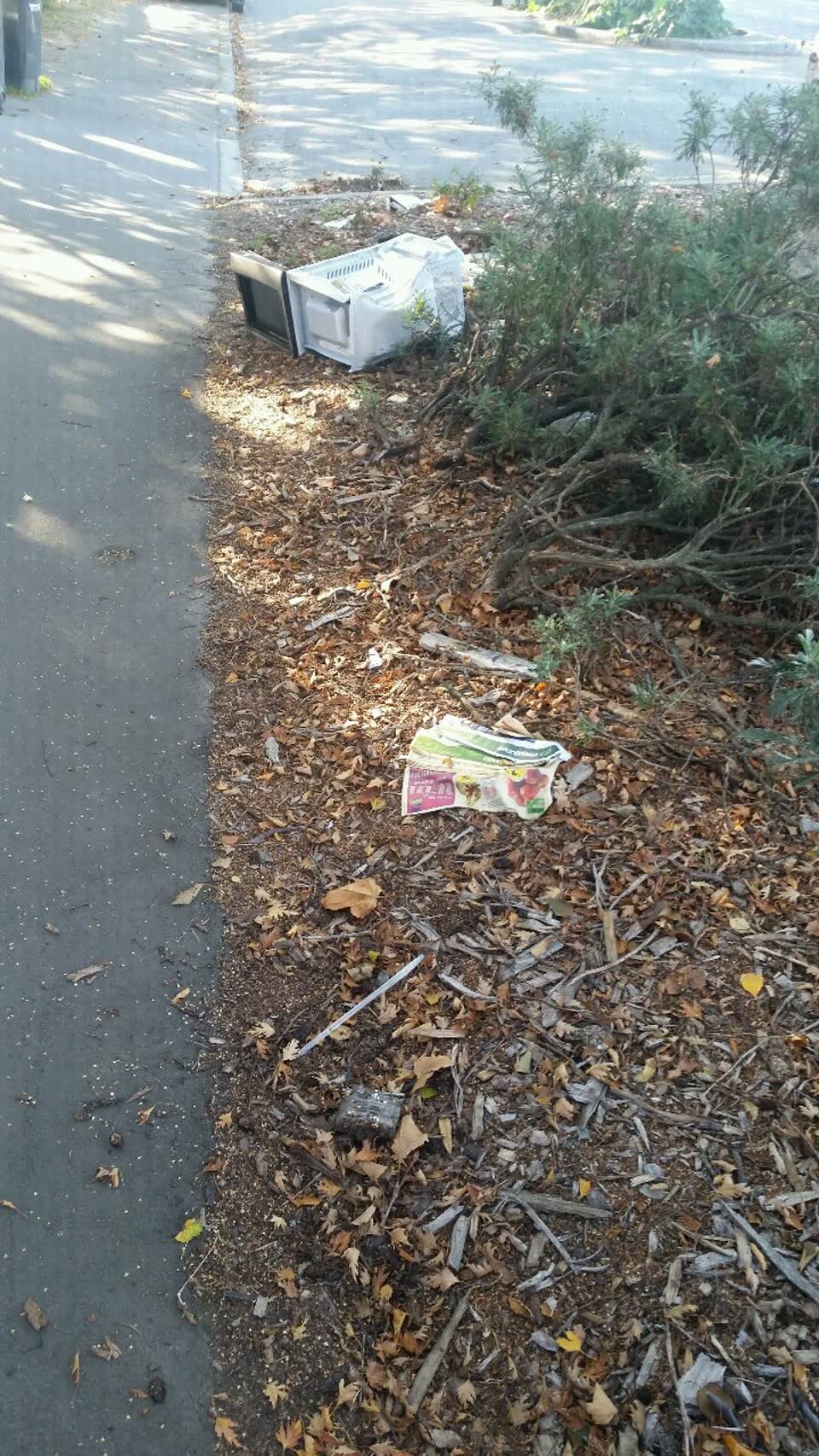 The photograph attached to this rubbish/recycling report