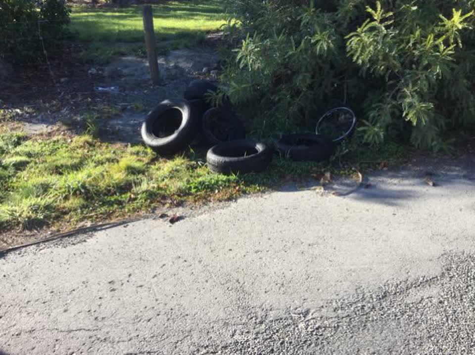 The photograph attached to this rubbish/recycling report