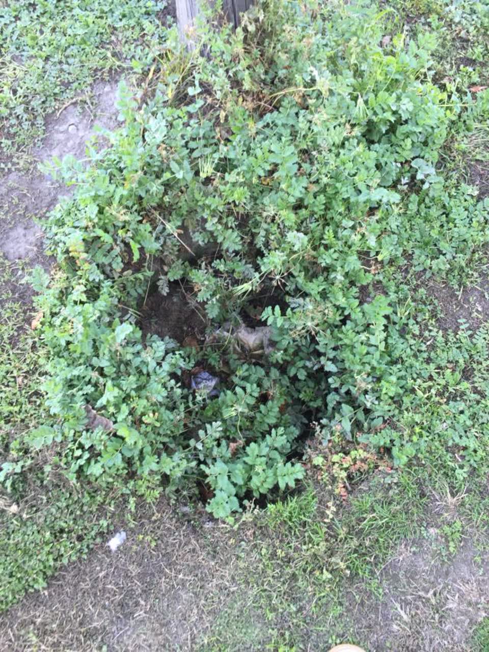 The photograph attached to this roading/streets report