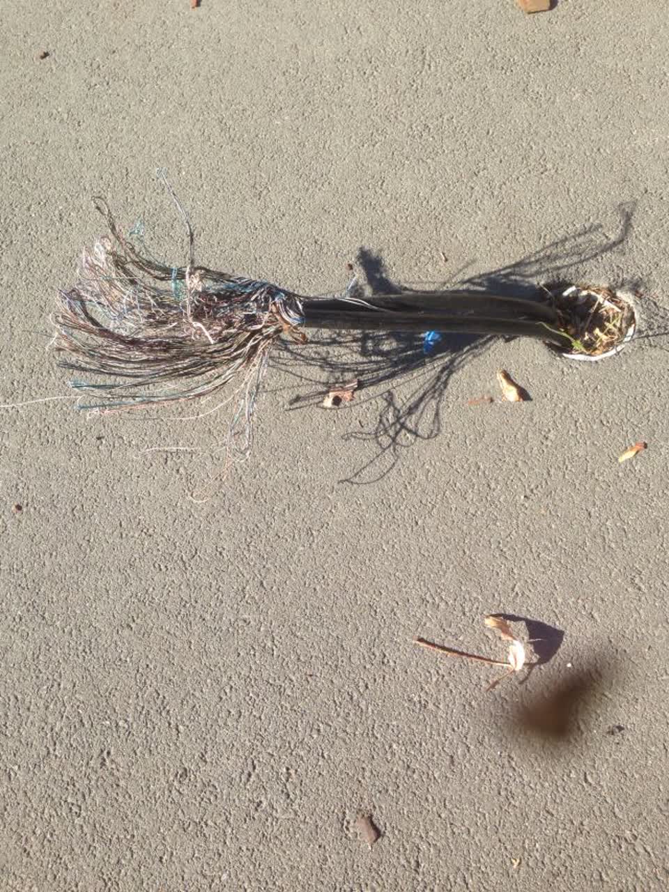 The photograph attached to this roading/streets report