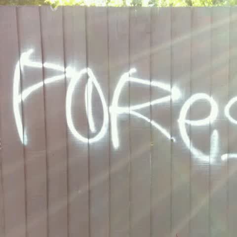 Graffiti, a report photo