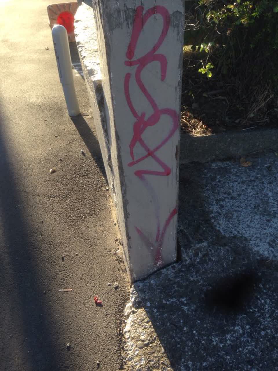 The photograph attached to this graffiti report