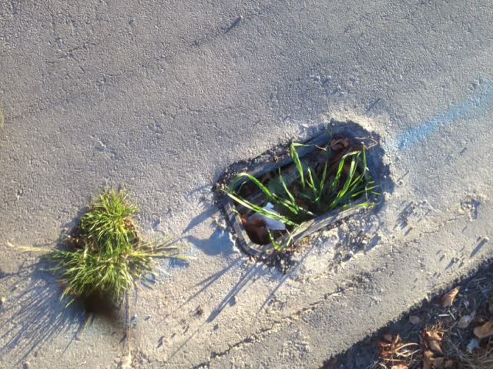 The photograph attached to this roading/streets report