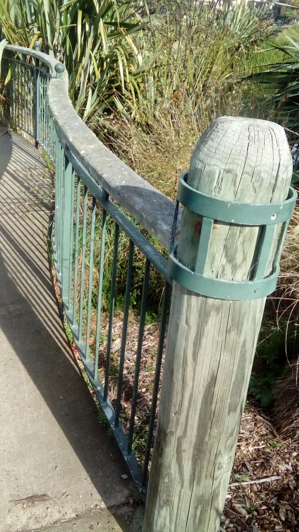 The photograph attached to this parks report