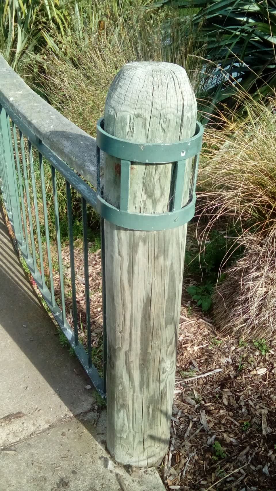The photograph attached to this parks report