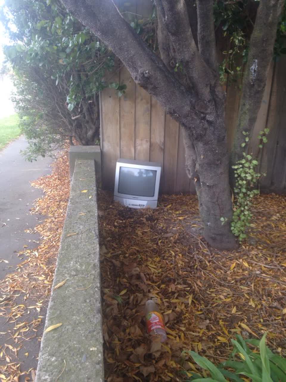 The photograph attached to this parks report