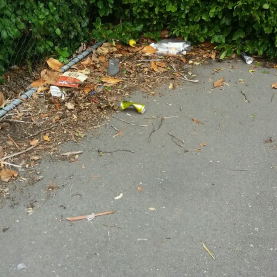 The photograph attached to this parks report