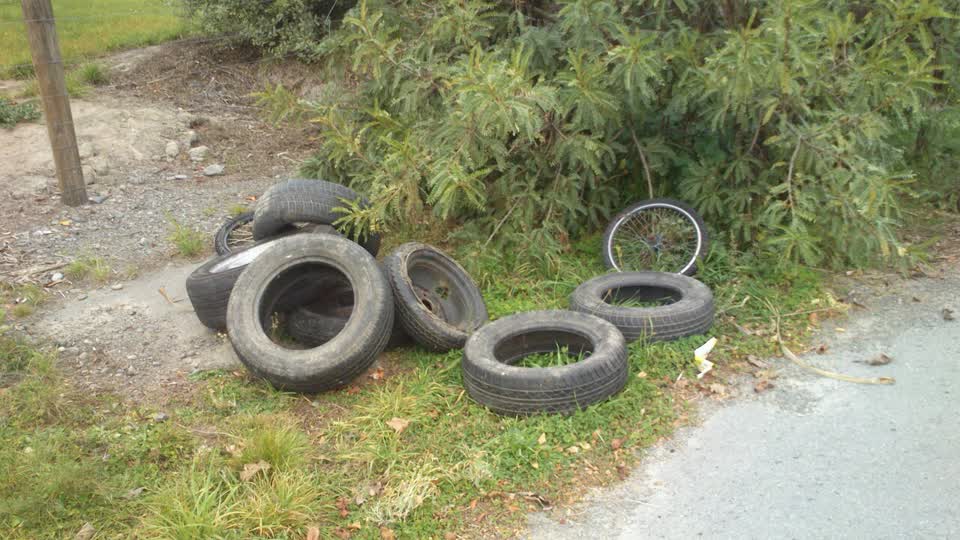 The photograph attached to this rubbish/recycling report