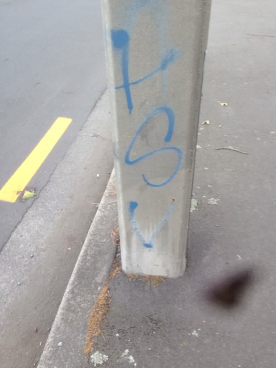 The photograph attached to this graffiti report