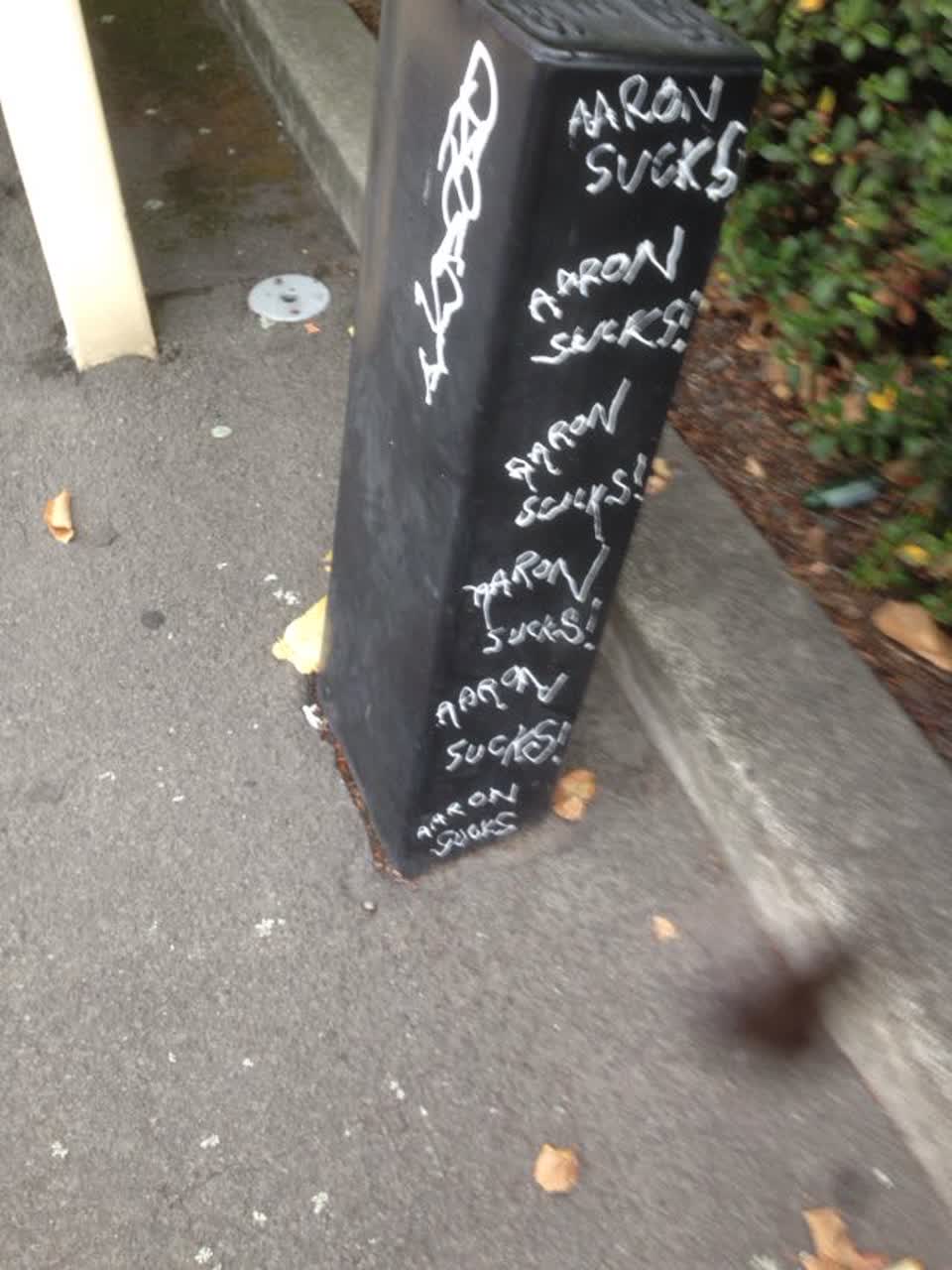 The photograph attached to this graffiti report