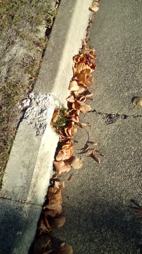 Roading/Streets, a report photo