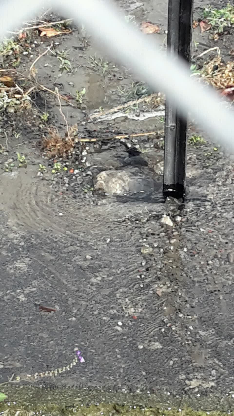 The photograph attached to this water supply report