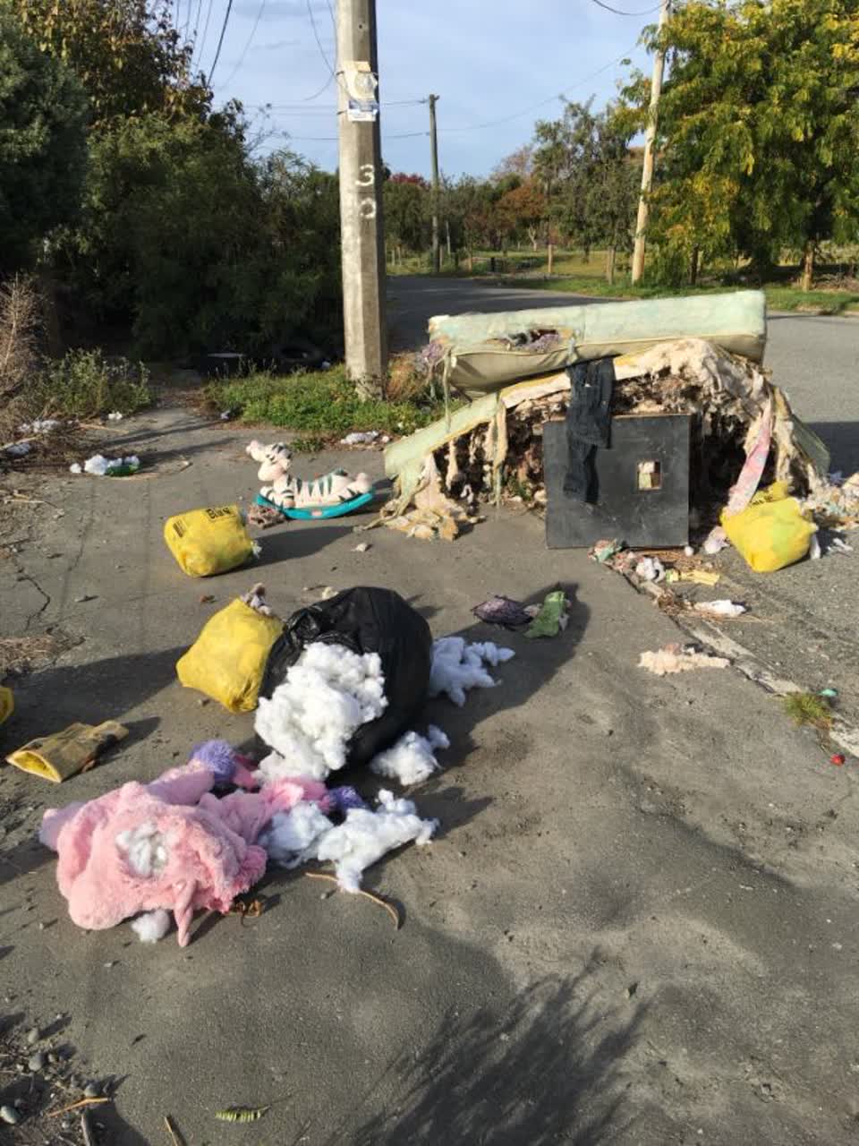 The photograph attached to this rubbish/recycling report