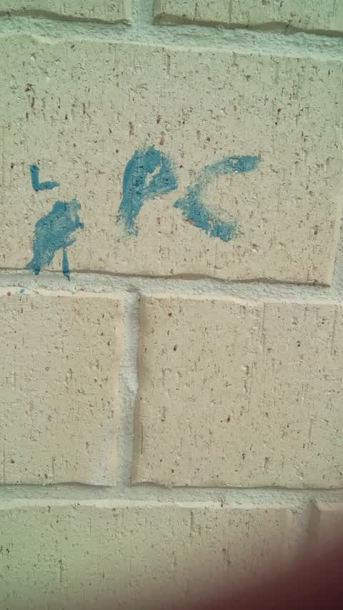 Graffiti, a report photo