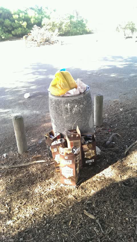 Rubbish/Recycling, a report photo
