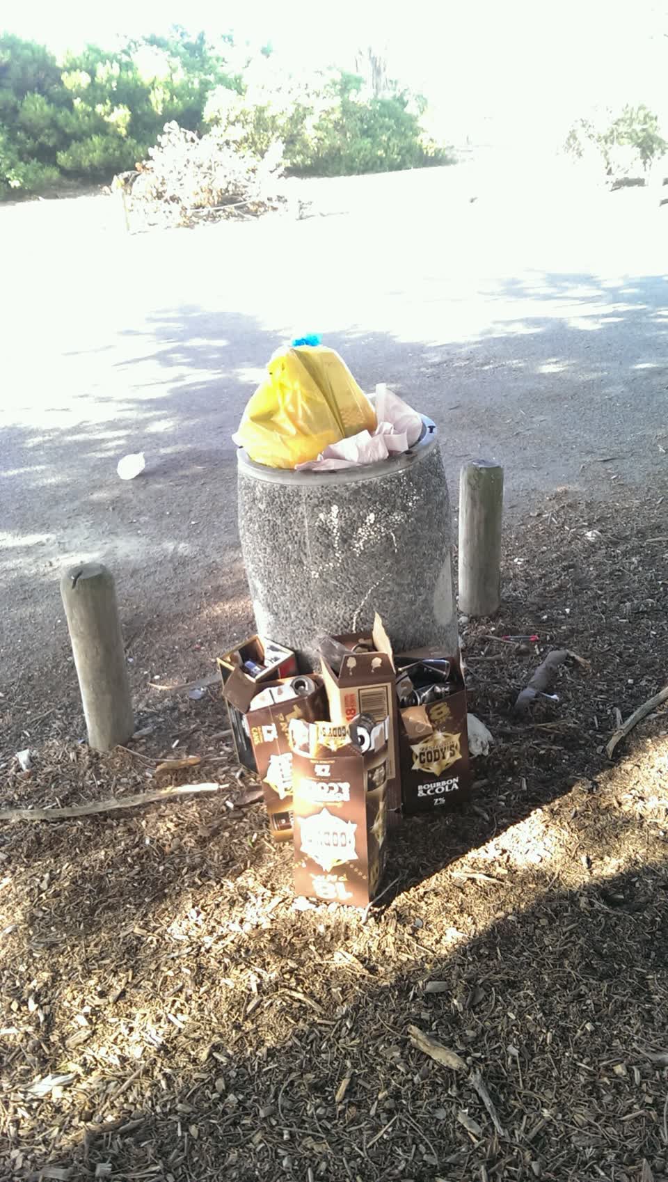 The photograph attached to this rubbish/recycling report