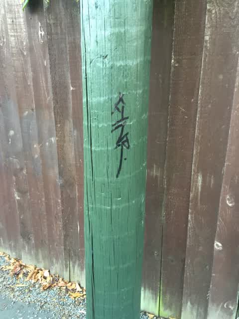 Graffiti, a report photo