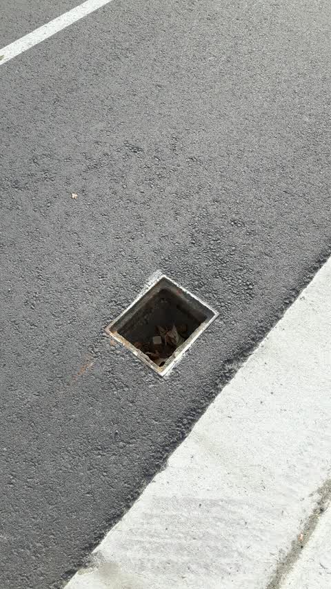 Roading/Streets, a report photo