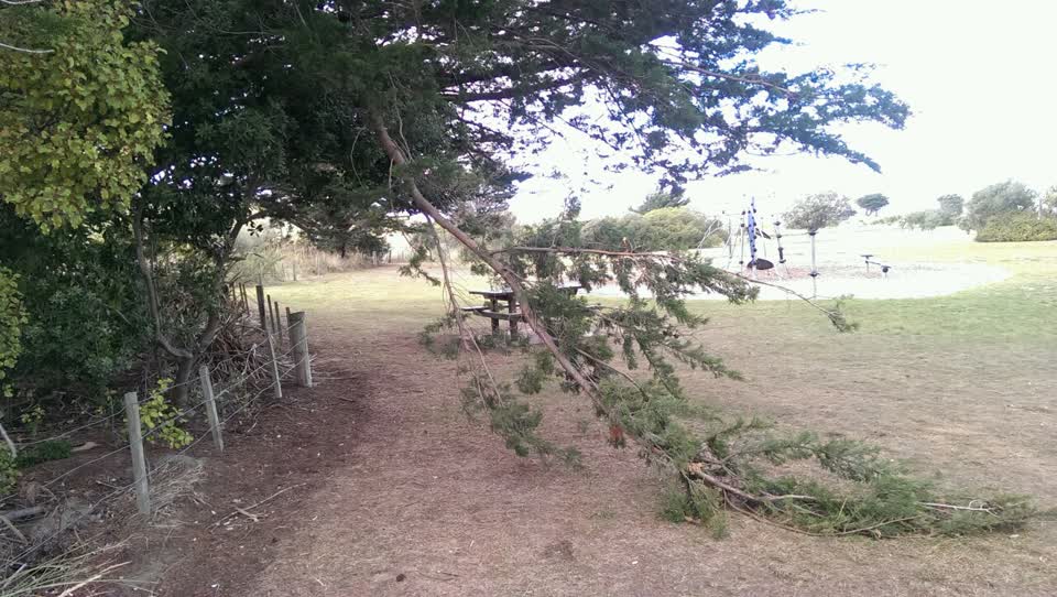 The photograph attached to this parks report