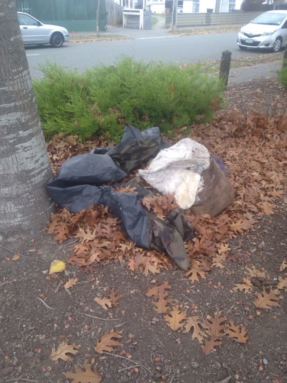 The photograph attached to this parks report