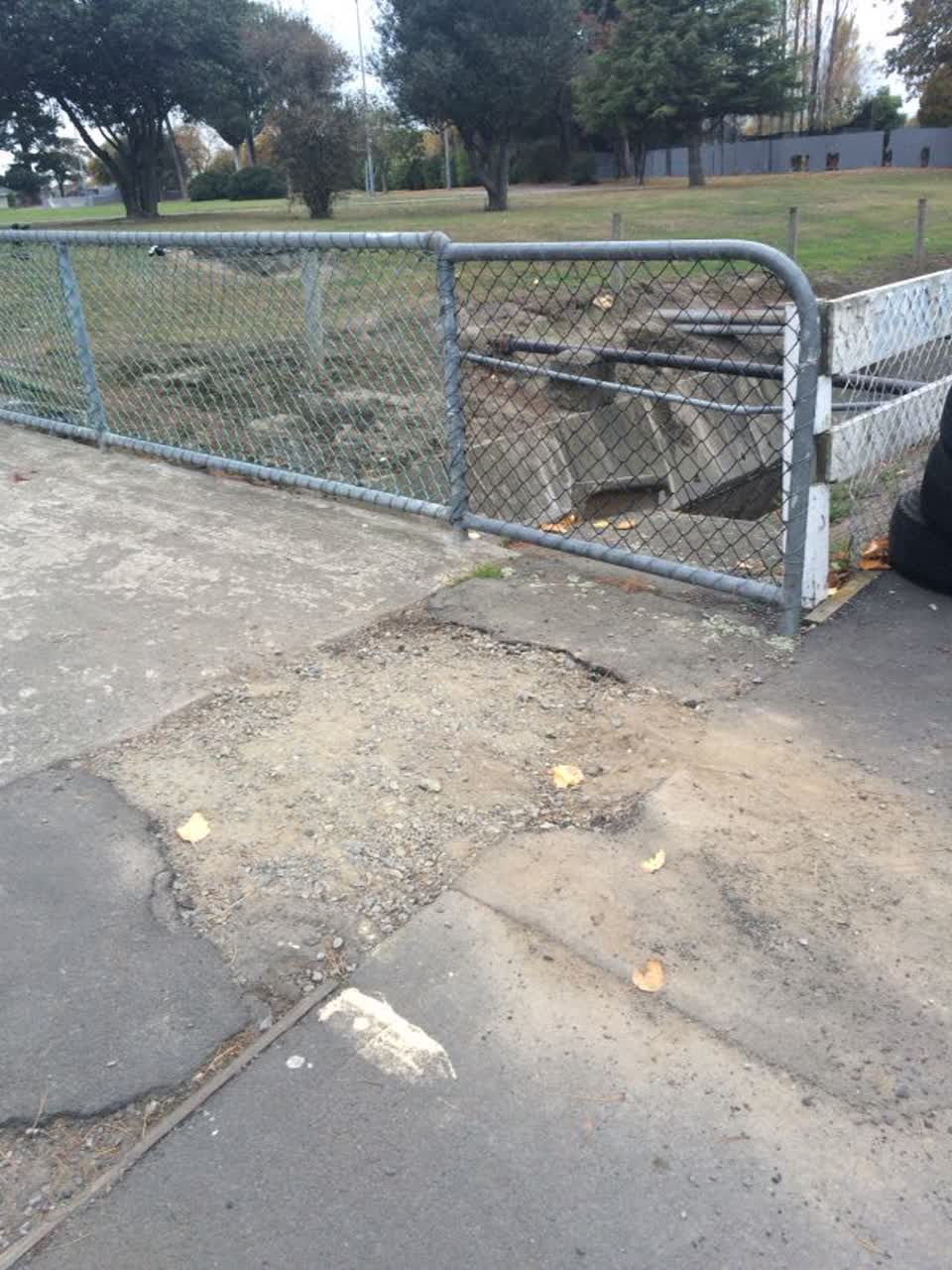 The photograph attached to this parks report