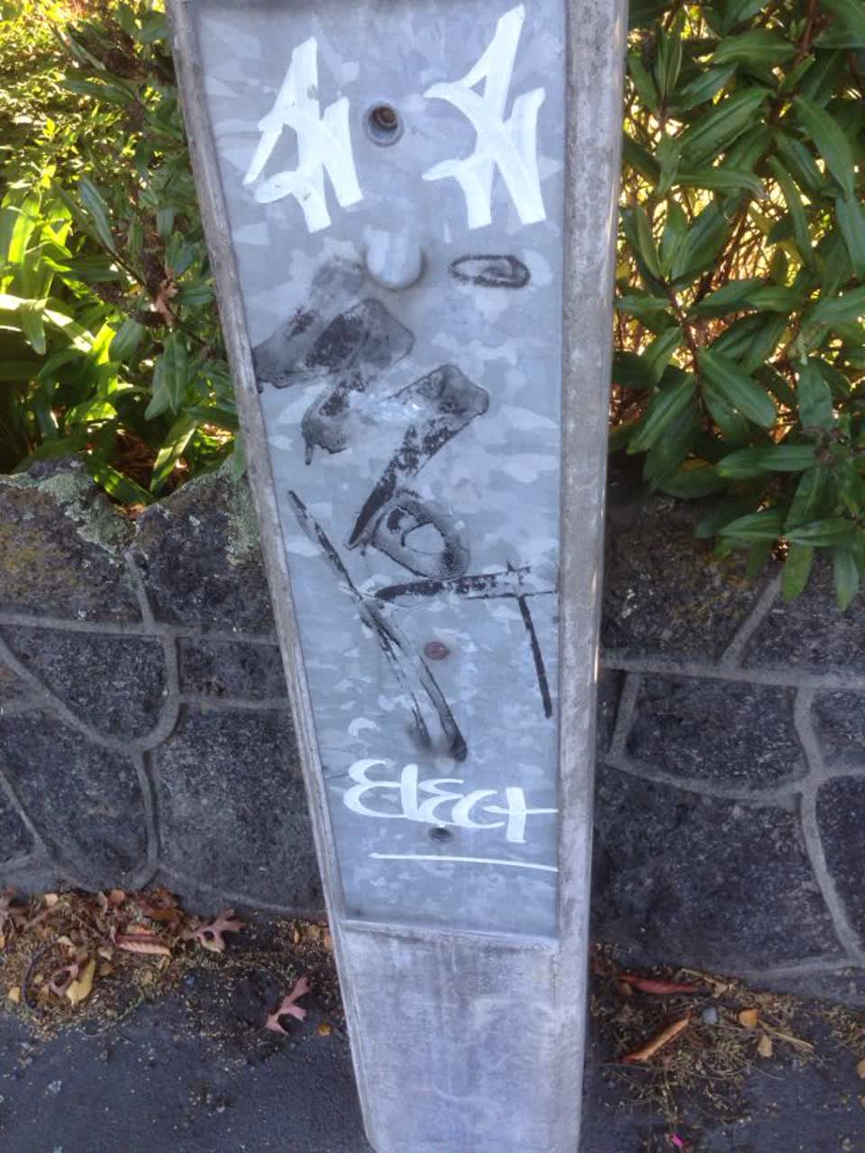 The photograph attached to this graffiti report