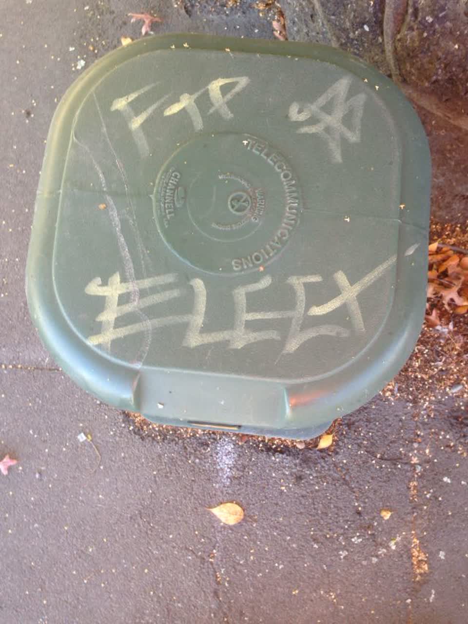 The photograph attached to this graffiti report