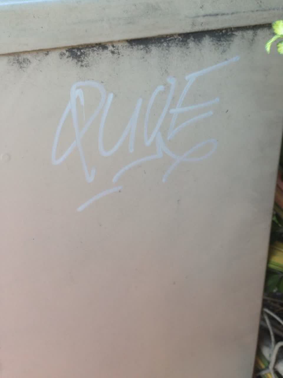 The photograph attached to this graffiti report