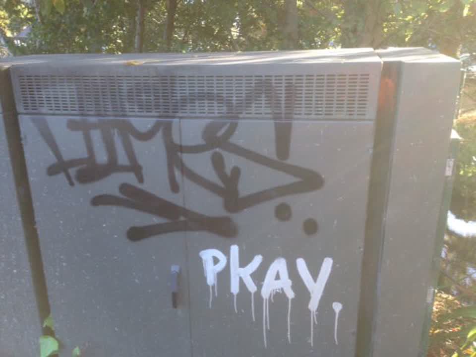 The photograph attached to this graffiti report