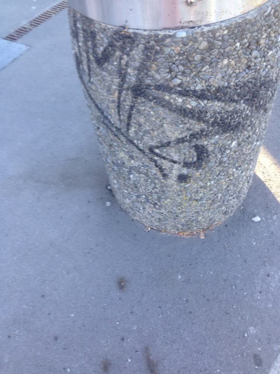The photograph attached to this graffiti report