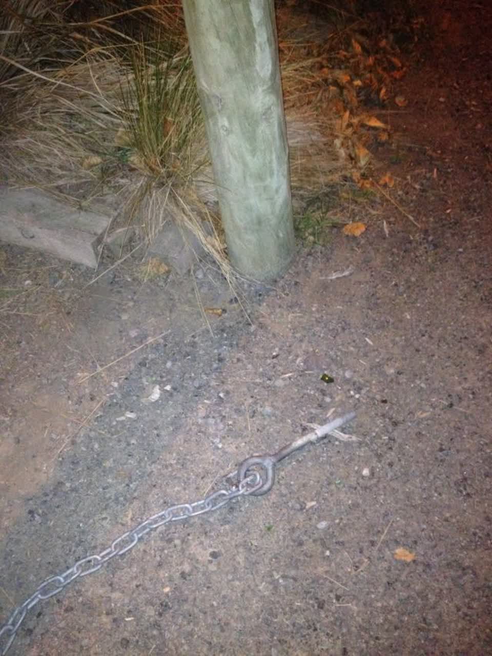 The photograph attached to this parks report