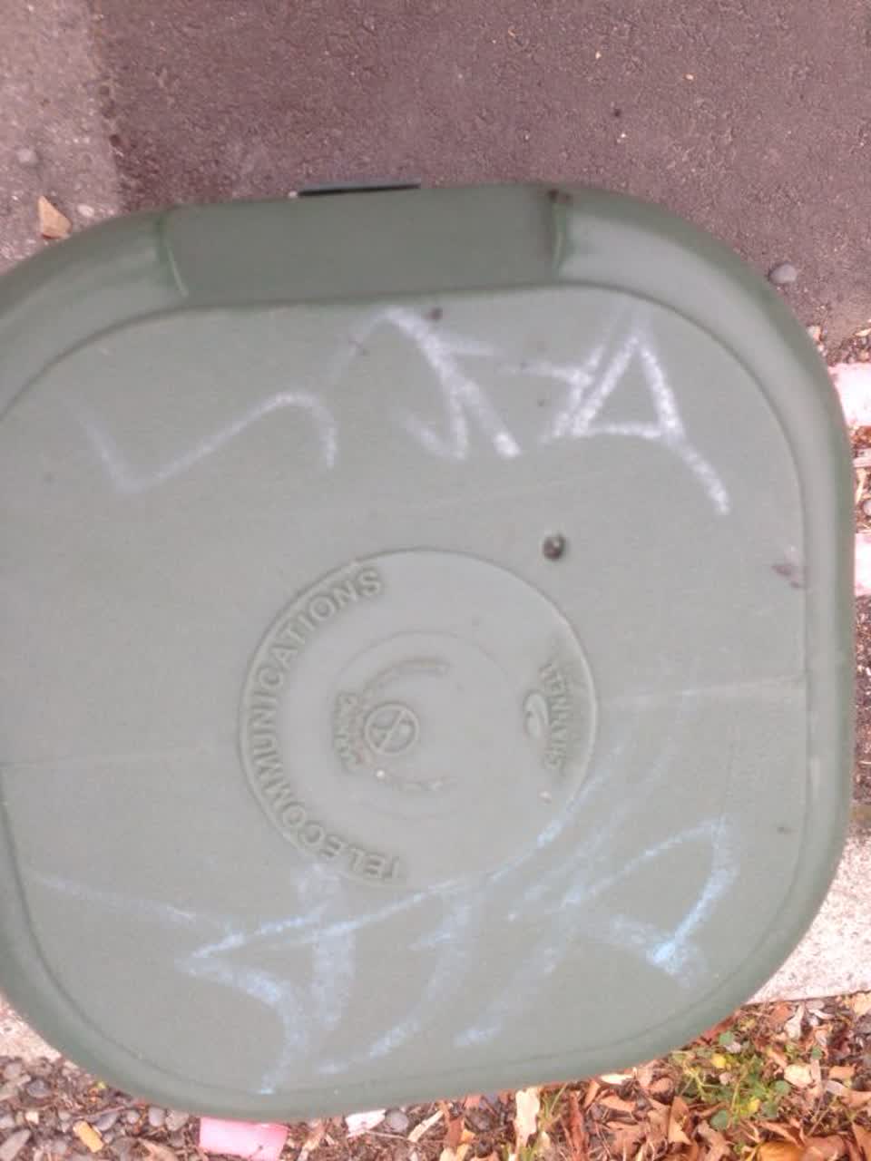 The photograph attached to this graffiti report