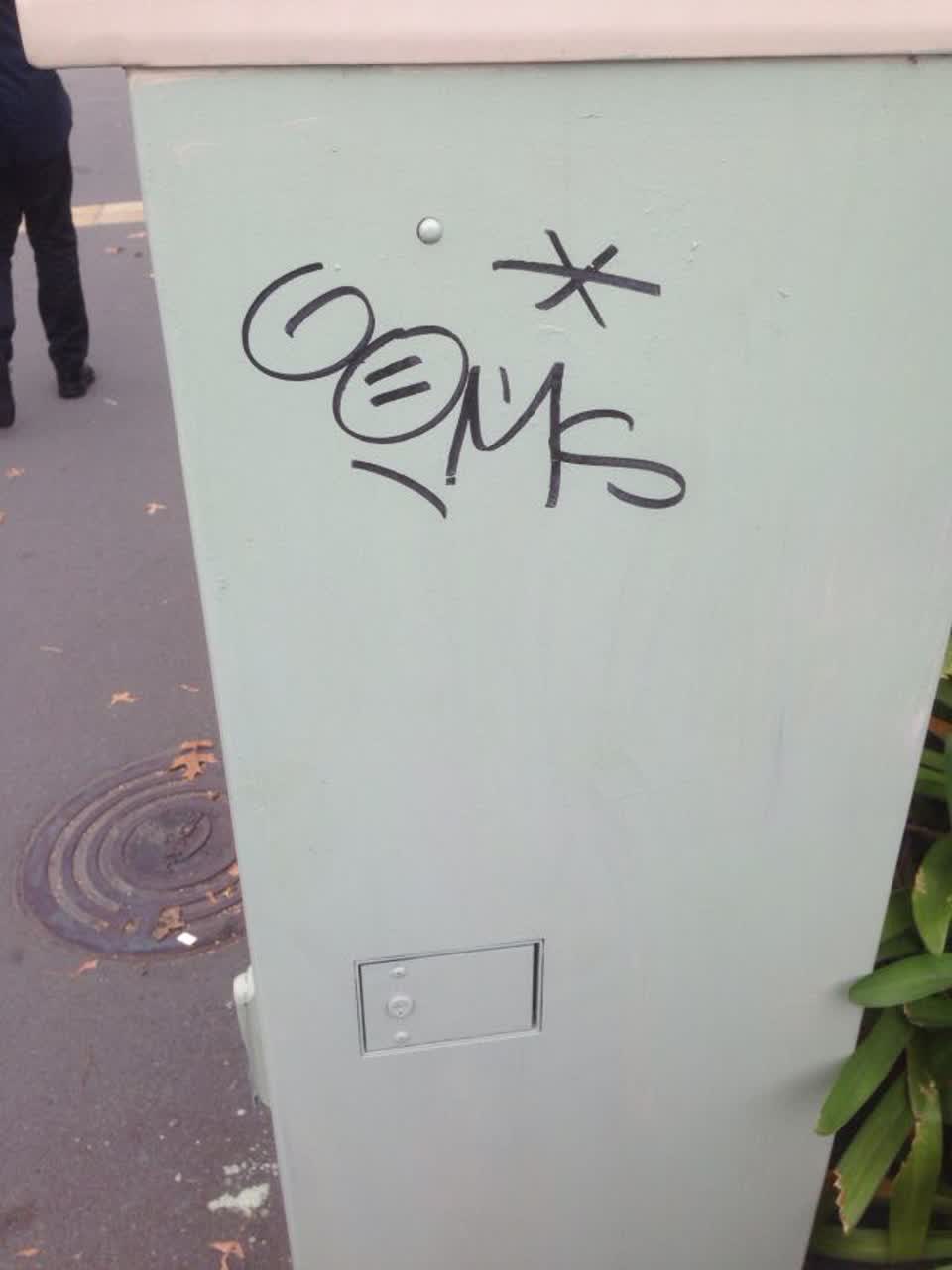 The photograph attached to this graffiti report