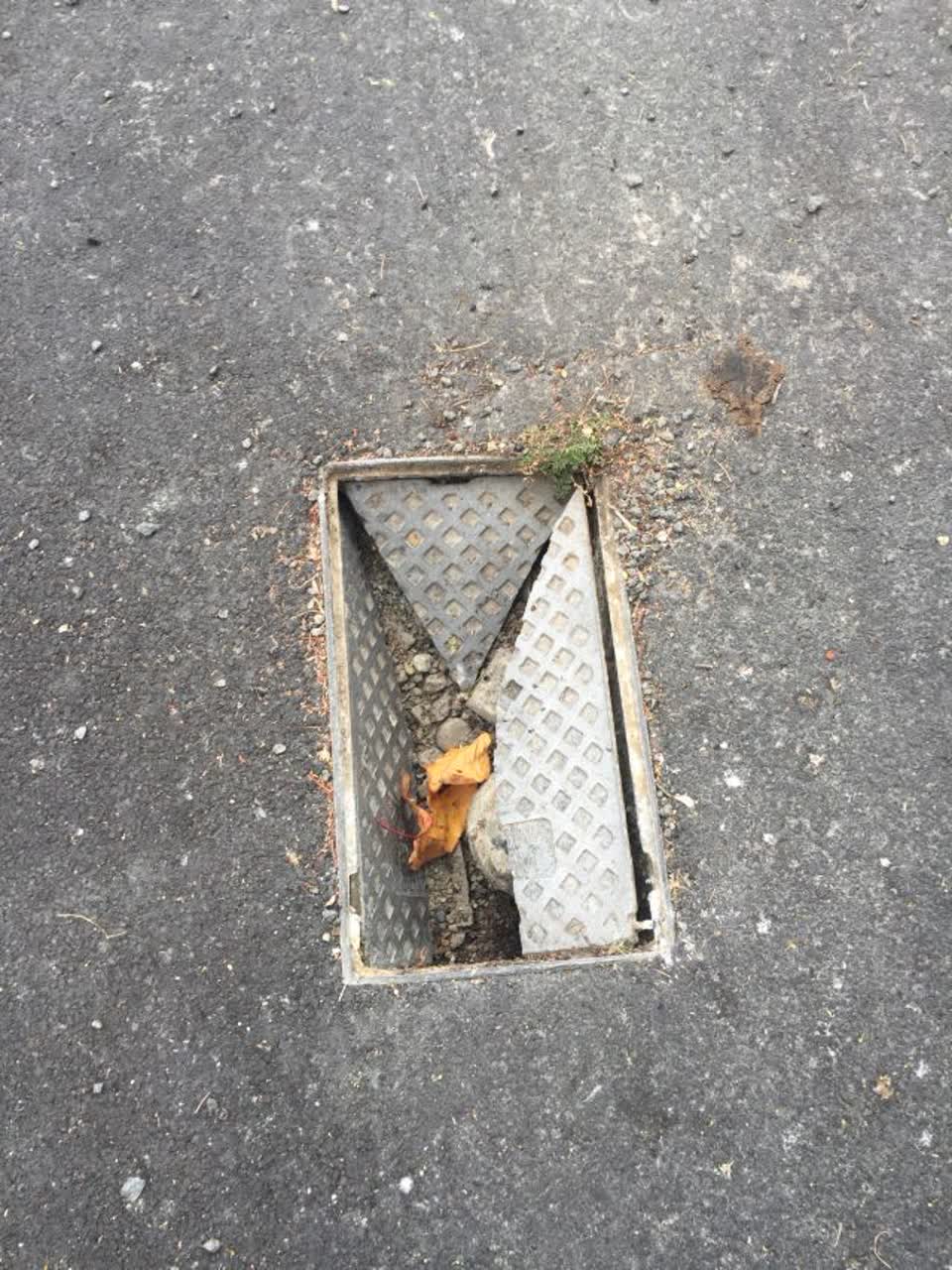 The photograph attached to this roading/streets report