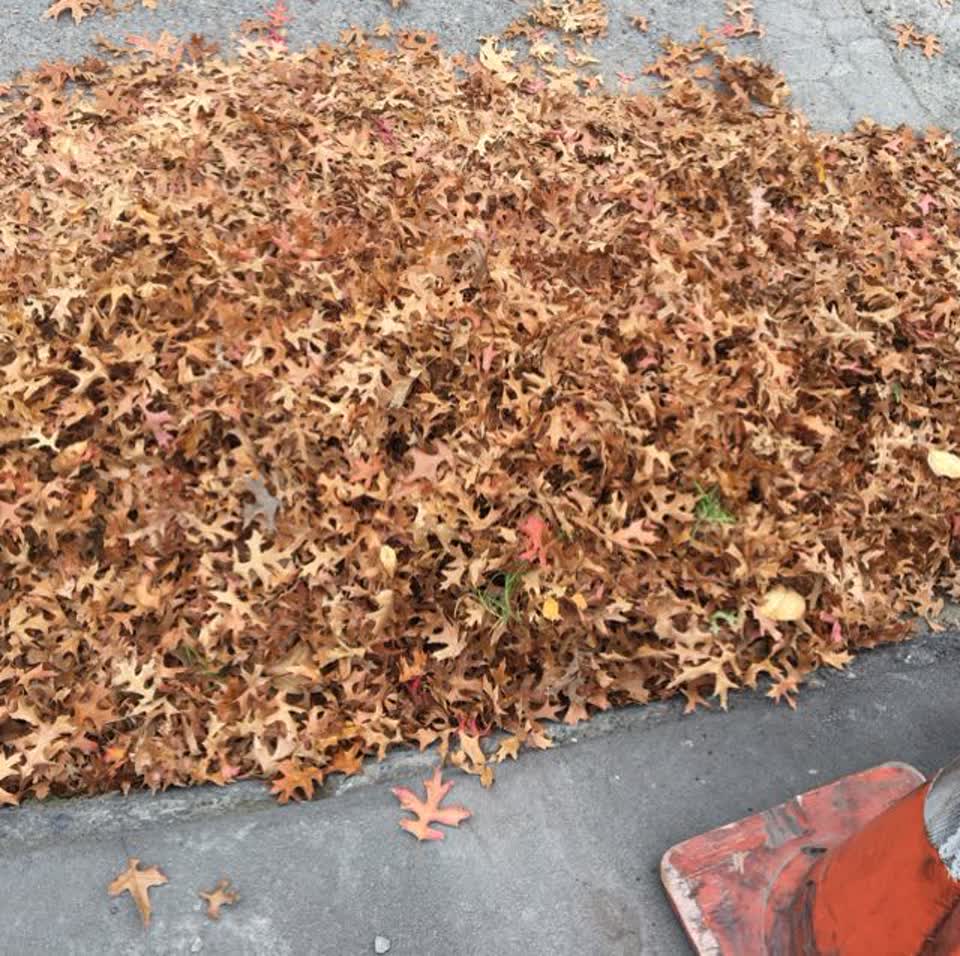 The photograph attached to this wastewater/stormwater report