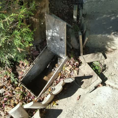 Water Supply, a report photo