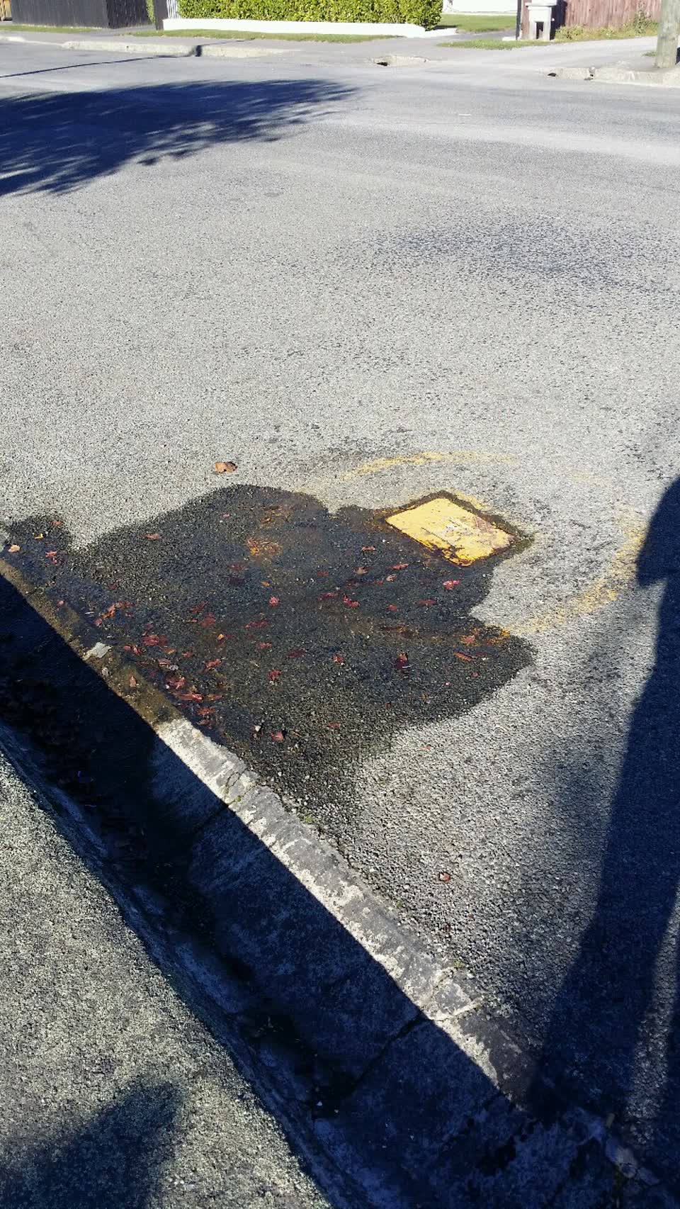 The photograph attached to this water supply report