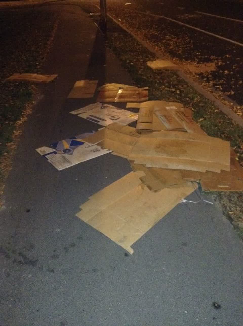 The photograph attached to this rubbish/recycling report