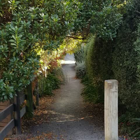 Parks, a report photo