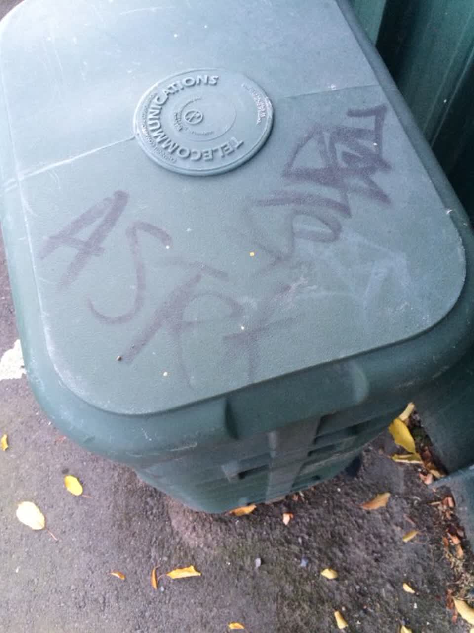 The photograph attached to this graffiti report