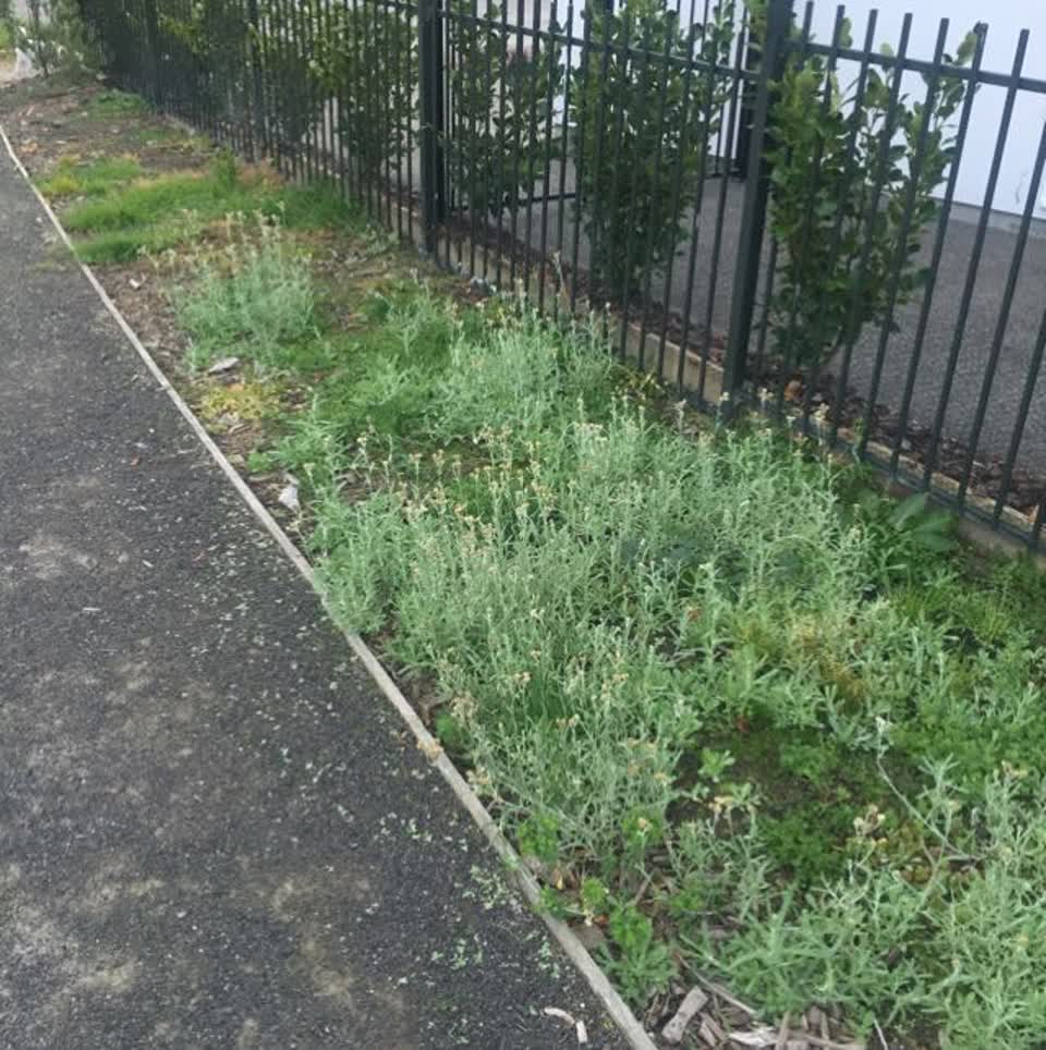The photograph attached to this parks report